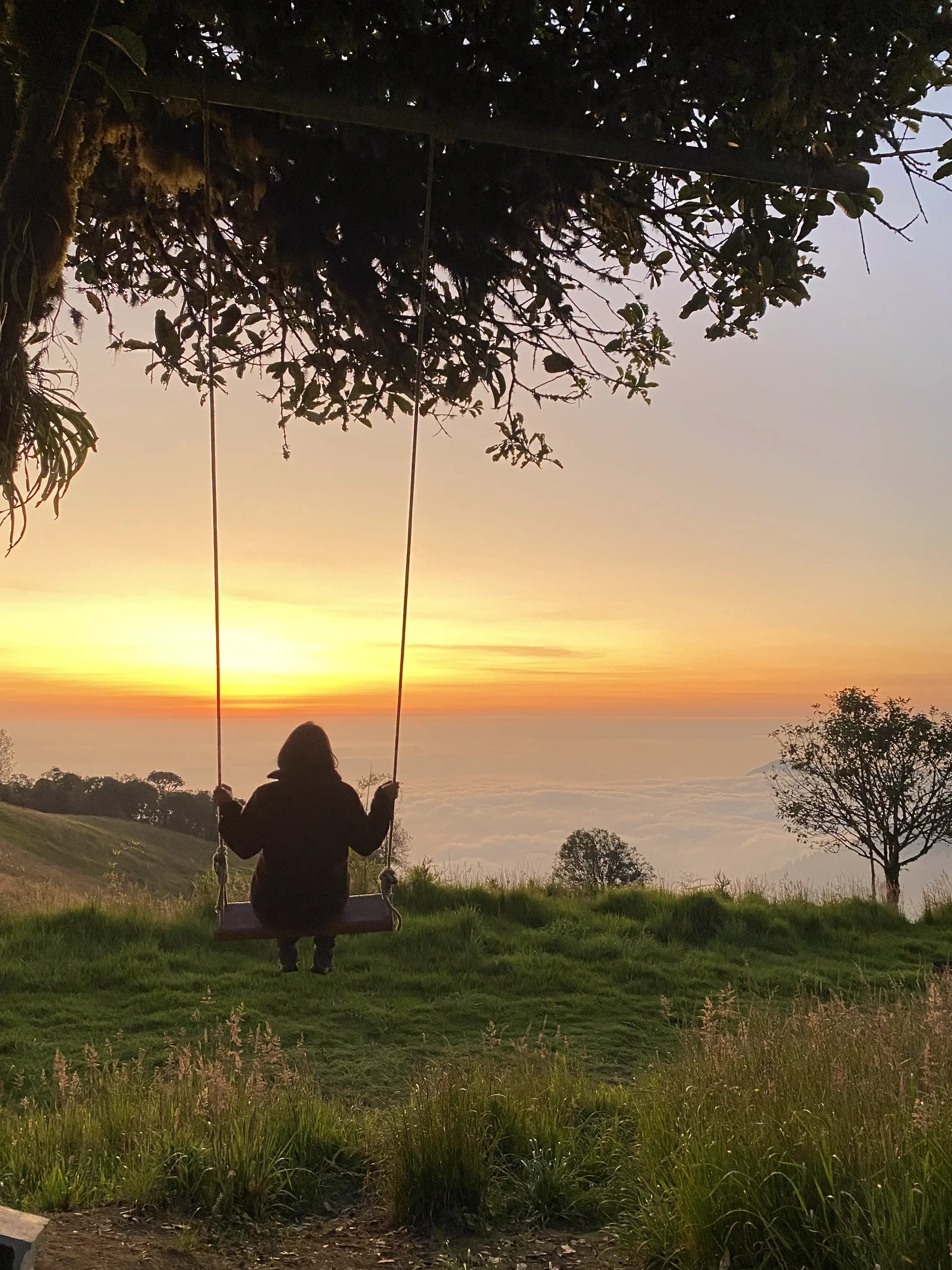 End-of-the-World Swings